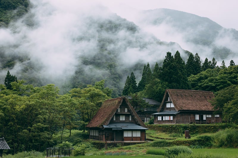 雨上がりの霧と相倉合掌造り集落の写真