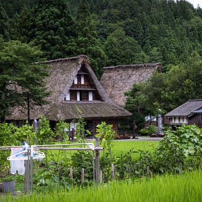 生活感ある田舎の情景（菅沼合掌造り集落）の写真