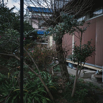 雨戸が閉まった空き家の様子の写真