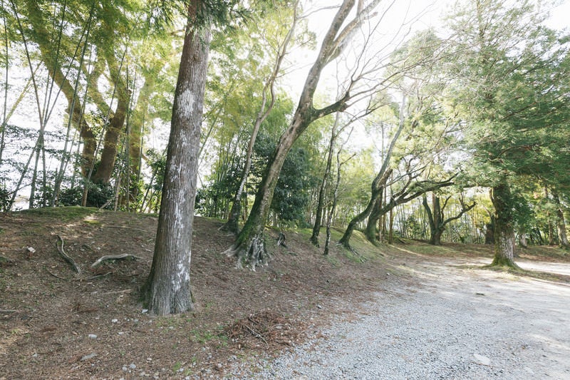 飫肥城の土塁の跡の写真