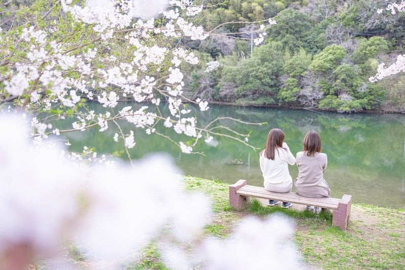 ベンチに腰掛ける女性達の後ろ姿と春の湖畔の写真