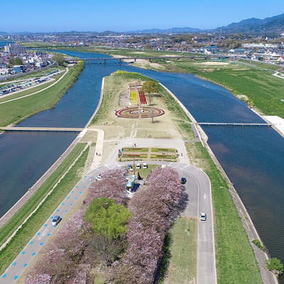 のおがたチューリプフェアと桜並木を空撮で撮影した様子の写真