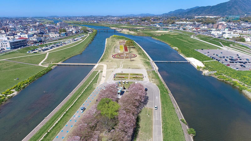 のおがたチューリプフェアと桜並木を空撮で撮影した様子の写真