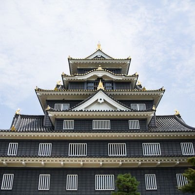 漆黒の城､岡山城の写真