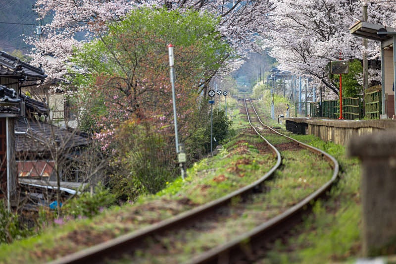 因美線の線路と三浦駅のホーム前の写真