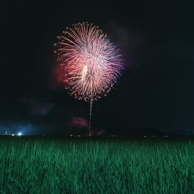 田んぼのど真ん中で打ち上げられた（おおたま夏祭り）の写真