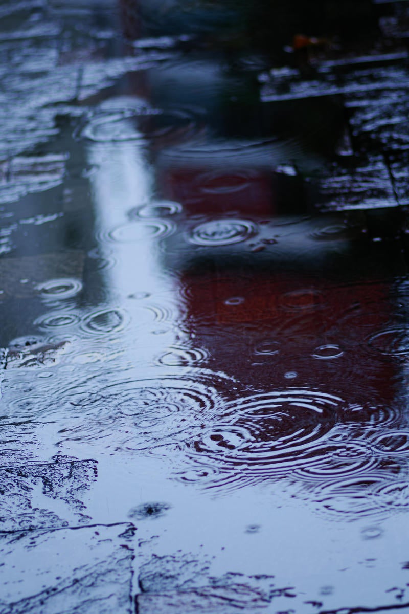 雨天時の水溜りの波紋の写真