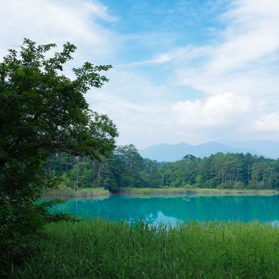 福島県五色沼の弁天沼の写真