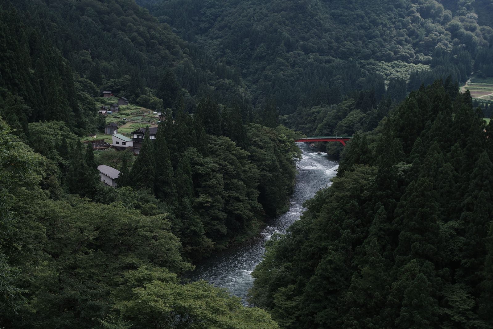 「南砺市に流れる庄川峡」の写真