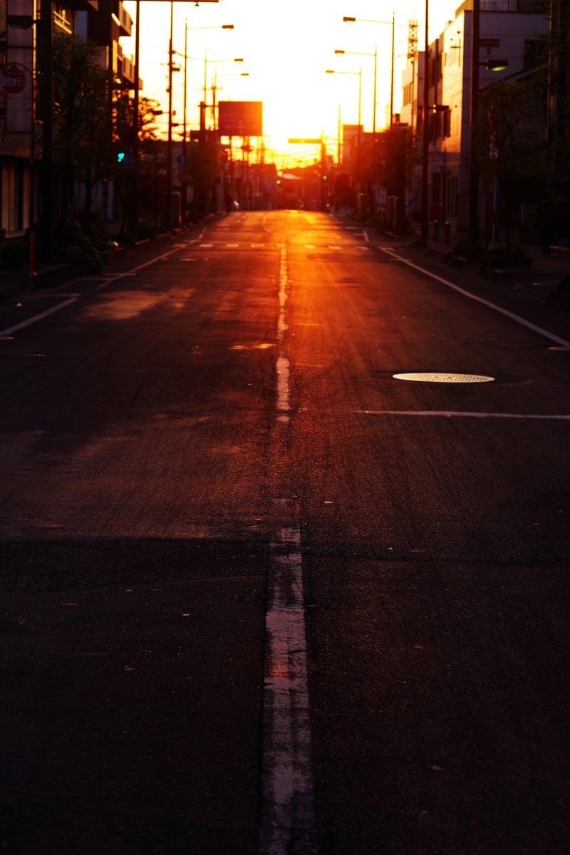 光が溢れる夜明けの写真