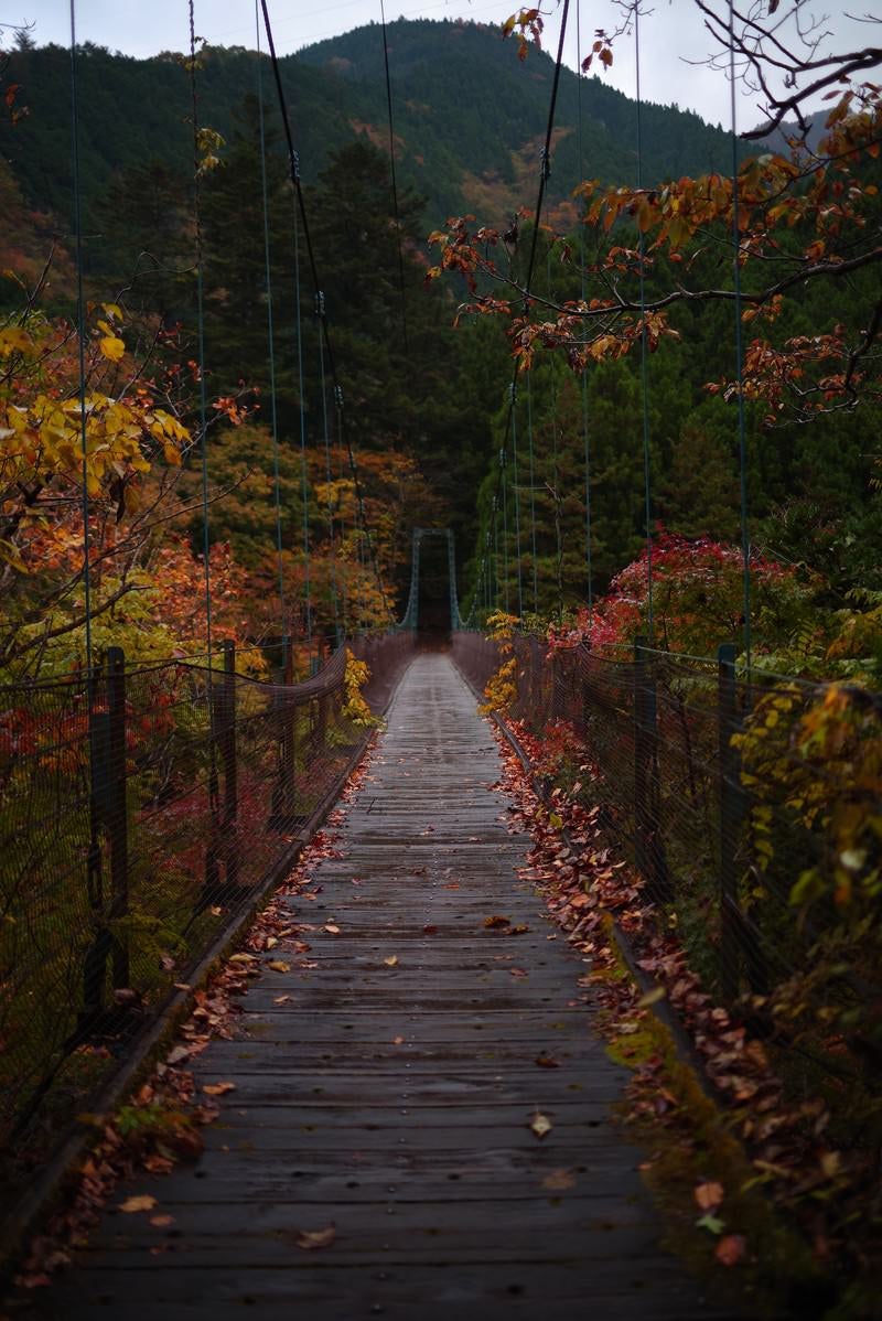 奥多摩にある吊橋と紅葉の写真