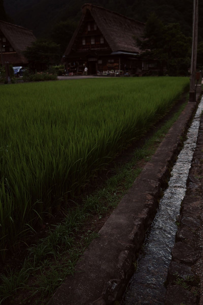 「田んぼの脇の水路と菅沼集落（富山県南砺市）」の写真