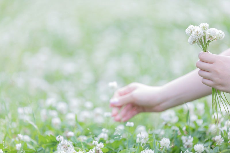 お花摘みの写真