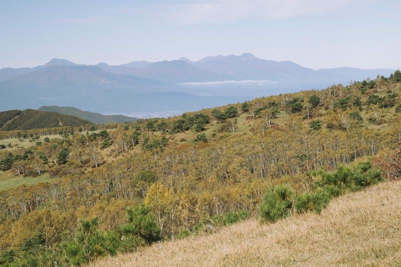 紅葉する四阿山の山肌と北信五岳方面の写真