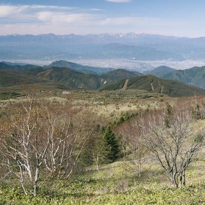 屏風のような北アルプスを眺める根子岳登山道の写真