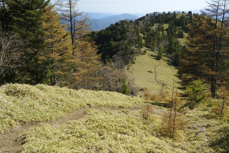 紅葉の石丸峠の尾根沿いの小道の写真