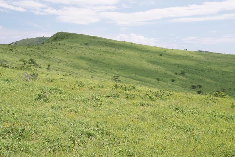 天上の草原が広がる霧ヶ峰の写真