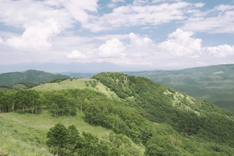 牧歌的な山の景色が続く霧ヶ峰の写真