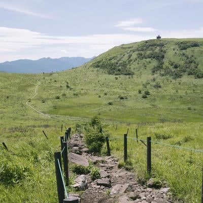 蝶々深山から車山方面へ続く道の写真