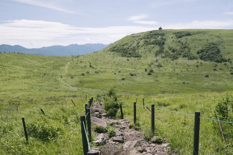 蝶々深山から車山方面へ続く道の写真