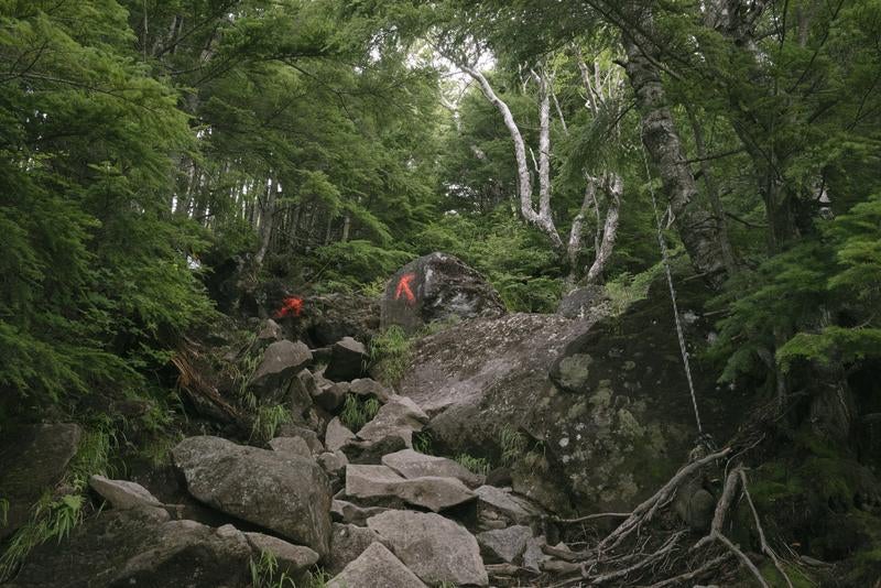 厳しいのぼりが続く男体山登山道の写真