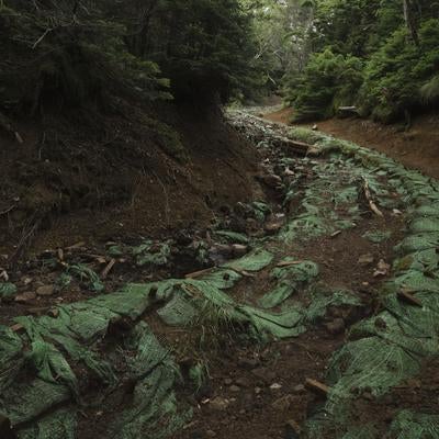 補修された男体山の登山道の写真