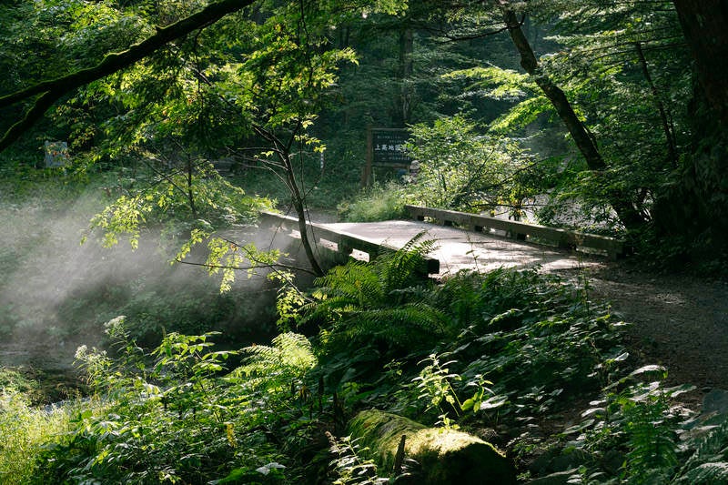 上高地から横尾へと向かう遊歩道の朝の写真