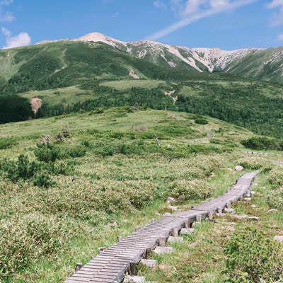 木道の先に見える薬師岳の写真