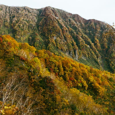 妙高山外輪と黄葉の写真