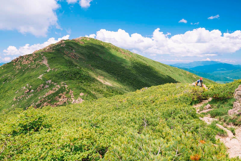 小至仏山から見る至仏山の写真