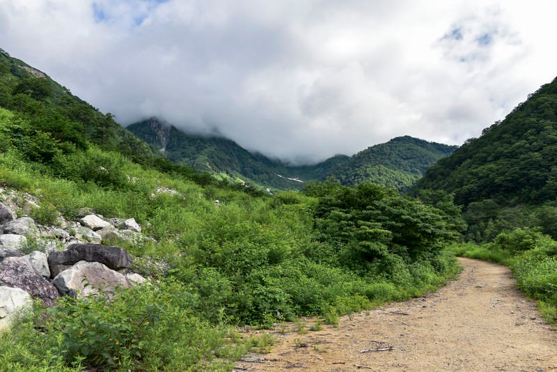 新穂高温泉登山道から見上げる雲に包まれた北アルプス南部の山々（鷲羽岳）の写真