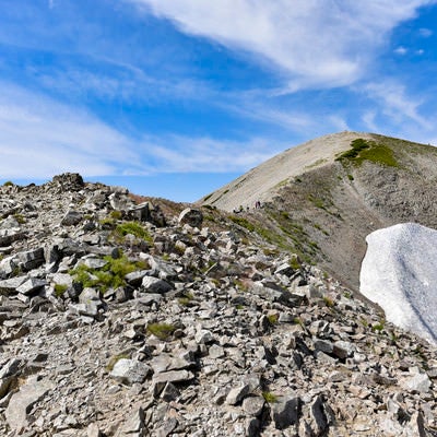 別山へと続くなだらかな稜線（立山）の写真