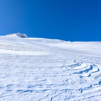 雪の斜面にできた風紋（安達太良山）の写真