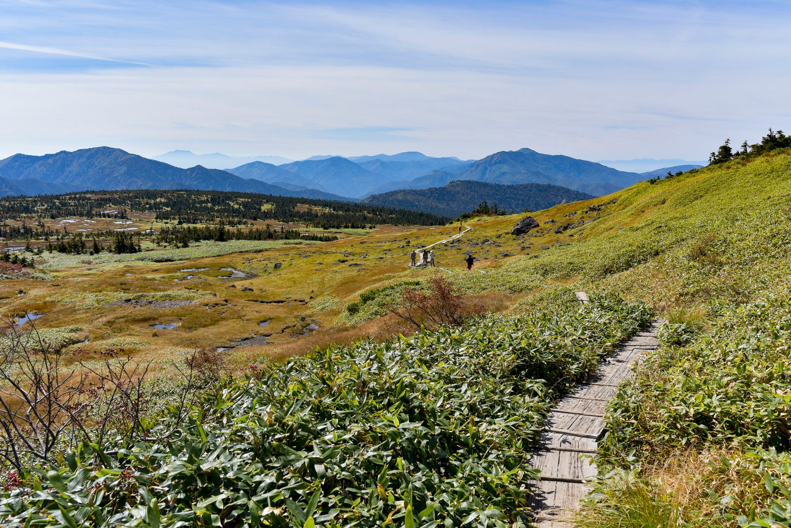 「苗場山の木道と上信越の山々」の写真