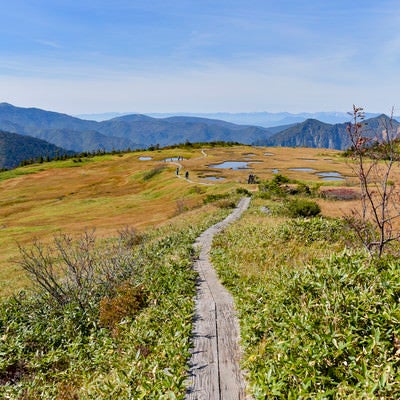 苗場山坪平方面の景色の写真