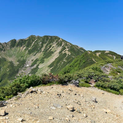 小仙丈ヶ岳から仙丈ヶ岳へと向かう道の写真