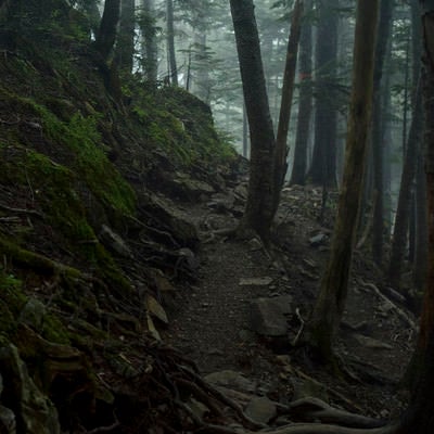 雲が広がる登山道（仙丈ヶ岳）の写真