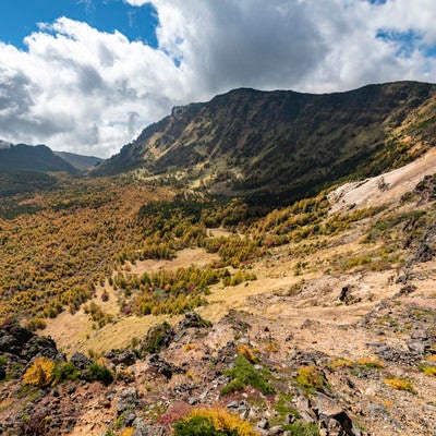 紅葉の黒斑山稜線（浅間山）の写真