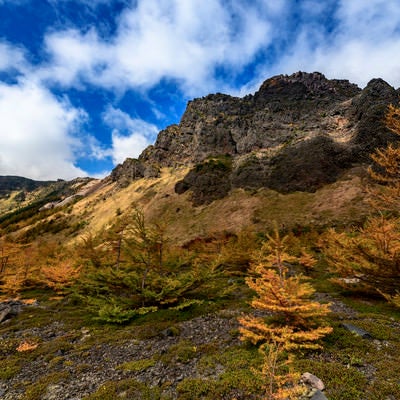 紅葉の黒斑山絶壁（浅間山）の写真