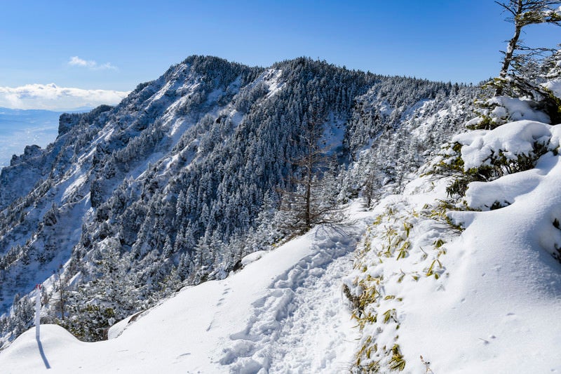 蛇骨山へと向かう稜線から見る黒斑山（浅間山）の写真