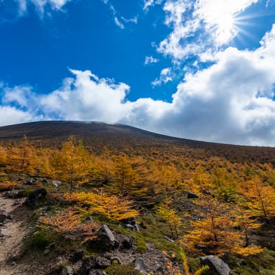 雲と紅葉に彩られる浅間山本体の写真