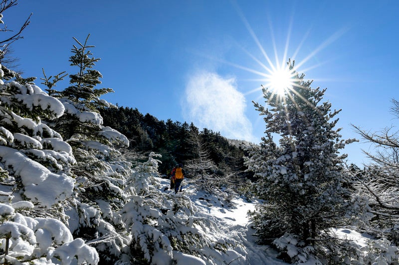 黒斑山を登る登山者たち（浅間山）の写真