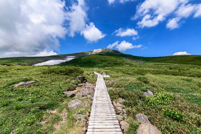 木道が一直線に続く弥陀ヶ原と白山山頂方面の写真