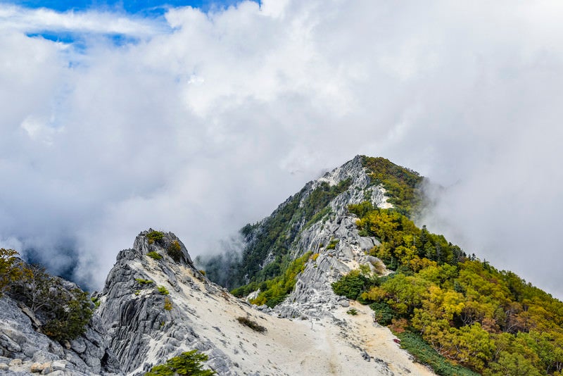 白砂の地面が続く鳳凰山稜線（鳳凰三山）の写真