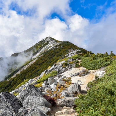 紅葉の鳳凰山観音岳方面（鳳凰三山）の写真