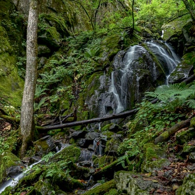 鳳凰山登山道中の渓流（鳳凰三山）の写真