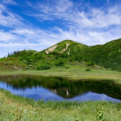 天狗の庭湿原から見る火打山（ひうちやま）の写真