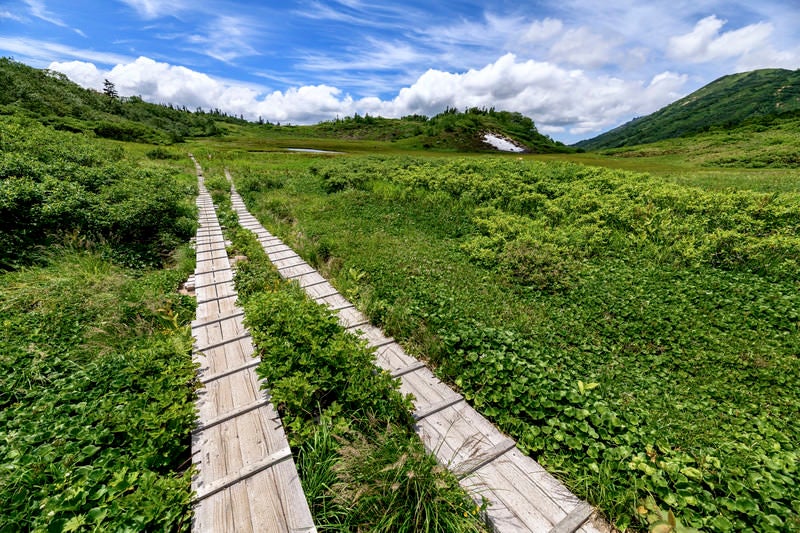 青空に向かって伸び往く遊歩道（火打山）の写真