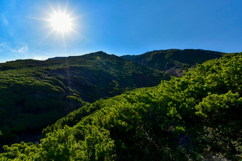 雌阿寒岳中腹から見上げる山頂方面の写真