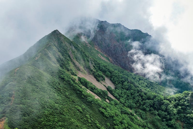 湧き上がる雲に包まれる深い緑に包まれた八ヶ岳登山道（赤岳）の写真